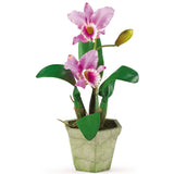 Cattelya Orchid w/Vase (Set of 3)