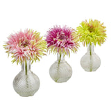 Daisy with Glass Vase (Set of 3)