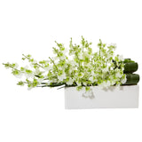 Dancing Lady Orchid in Rectangular Ceramic