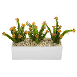 Flowering Sedum in Rectangular Planter