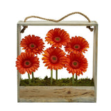 Gerber Daisy Garden in Hanging Frame