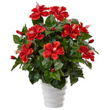 Hibiscus in Swirl Planter