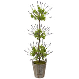 Lavender Topiary with Farmhouse Planter