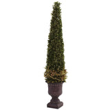 Mixed Golden Boxwood & Holly Topiary w/Urn