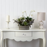 Orchid & Succulent Garden w/Driftwood & Decorative Vase