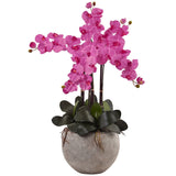 Phalaenopsis Orchid Arrangement with Sand Colored Bowl