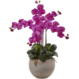 Phalaenopsis Orchid Arrangement with Sand Colored Bowl