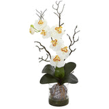 Phalaenopsis Orchid Artificial Arrangement in Vase
