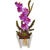 Phalaenopsis Orchid & Succulent Artificial Arrangement in Chair Planter