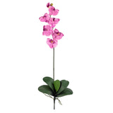 Phalaenopsis Silk Orchid Flower w/Leaves (6 Stems)