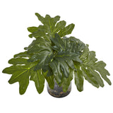 Philodendron Arrangement with Vase