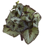 Rex Begonia Artificial Bush (Set of 12)