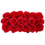 Roses in Rectangular Planter