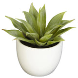 Southwest Artificial Succulent Collection - Set of 3