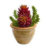 Succulent Artificial Plant in Ceramic Planter (Set of 2)