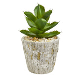 Succulent Artificial Plant in Weathered Oak Planter