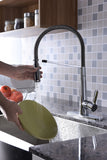 Apollo Single Handle Pull-Down Sprayer Kitchen Faucet in Polished Chrome
