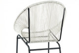 LARIN Outdoor Wicker Chair Set Of 2