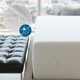 Bargoose Heavy Duty Vinyl Mattress Encasements: Bed Bug Proof & Waterproof Protection