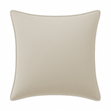 Velvet Pillow Cover (Set of 1)