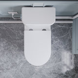 ANZZI Nesso 1.6 GPF Upflush Macerating Toilet System, Comfort Height, Soft-Close Lid, Powerful 0.8 HP Pump (26 ft Vertical / 197 ft Horizontal), Multi-Fixture Capacity, White