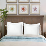 400TC Cotton Small Scallop Embroidery Euro Sham