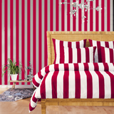 Stripe Border Frame Bedding Bundle Set