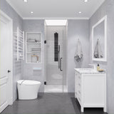 Fellow Series 24 in. x 70 in. Frameless Hinged Shower Door with Clear/Frosted Tempered Glass and Tsunami Guard