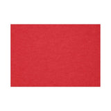 Loft Felt Cherry Placemat - Rectangle 12.2x16.5"- Set of 4