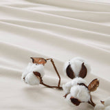 Wholesale 4-Piece 144TC 100% Cotton Solid Sheet Set, Ivory