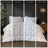 Puffed Overfilled Down Alternative Comforter, Duvet Insert
