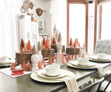 Beige Dish Towels Set of 4