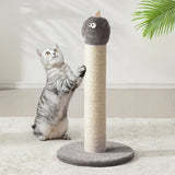22" Cat Scratching Post, Sisal Cat Scratcher with Interactiv