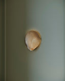 Alexine Wall Sconce