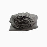 400TC Luxurious Triple Embroidery Sateen Solid Cotton Fitted Sheet