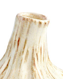 Small White Garlic Bulb