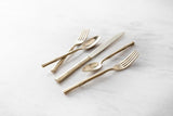 Royal Pacific Brushed Champagne 5pc Place Setting