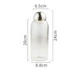 Transparent Glass Sealed Storage Jar
