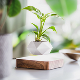 Levitating Magnetic Floating Planter Pot