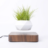 Levitating Magnetic Floating Planter Pot