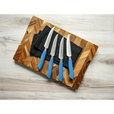 EcoCut 4 Piece Steak Knife Set, Blue