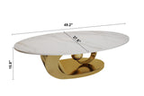 LIORA 49" Coffee Table