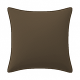 Velvet Pillow Cover (Set of 1)