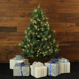 5-Ft. Northern Cedar Teardrop Christmas Tree with EZ Connect Warm White LED Lighting
