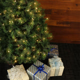 5-Ft. Northern Cedar Teardrop Christmas Tree with EZ Connect Warm White LED Lighting