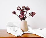 Flour Sack Kitchen Towels - Grain Sack Tea Towels