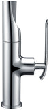 Accent Single Handle Pull-Down Sprayer Kitchen Faucet