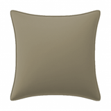 Velvet Pillow Cover (Set of 1)