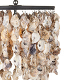 Stillwater Oyster Shell Oval Chandelier