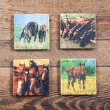 Horses Coaster, Set of 4